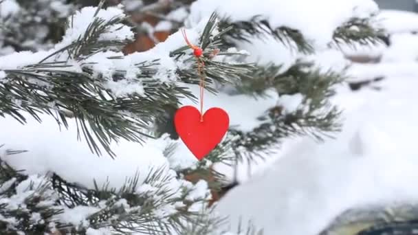 outdoor snow spruce decorated with a red wooden heart. the concept of valentines day, valentines day - Filmati, video