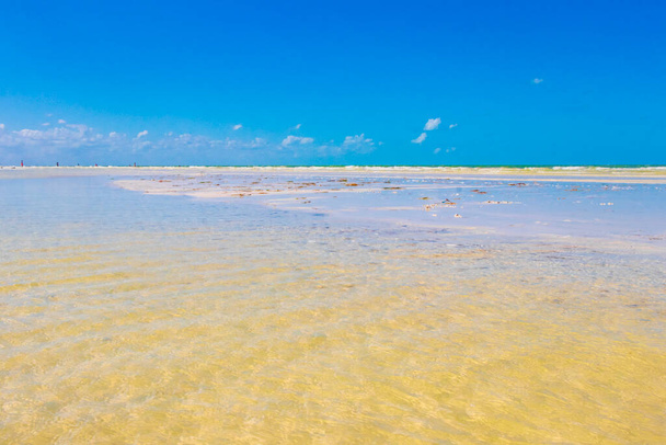 Panorama landscape view on beautiful Holbox island sandbank and beach with waves turquoise water and blue sky in Quintana Roo Mexico. - Foto, afbeelding