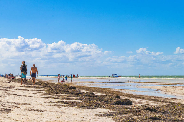 Holbox Mexico 22. December 2021 Panorama landscape view on beautiful Holbox island sandbank and beach with waves turquoise water and blue sky in Quintana Roo Mexico. - Foto, Imagen