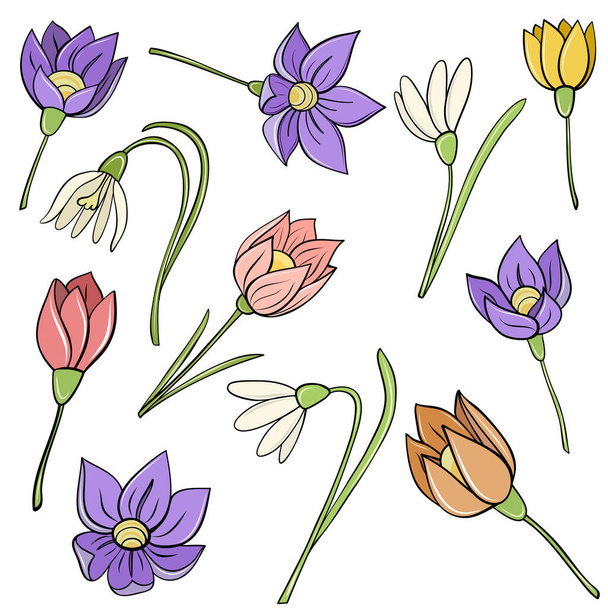 Set of pink; yellow; red; orange and violet spring flower hand drawn in cartoon style for card design - Διάνυσμα, εικόνα