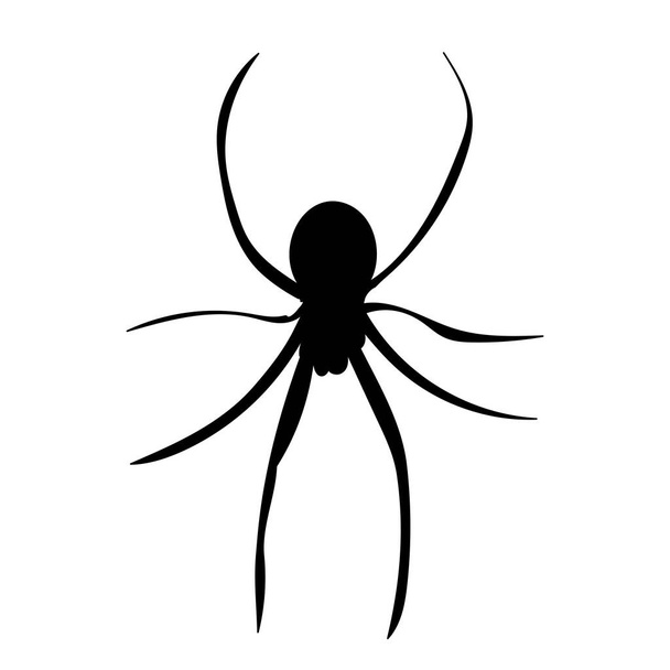 spider black silhouette, isolated, vector - Vector, Image
