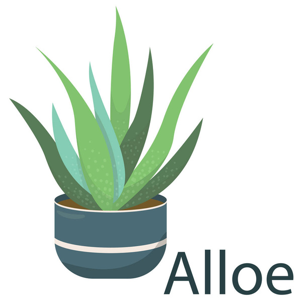 aloe vera, houseplant, flower in a pot - vector illustration, vector element in flat style - Vektori, kuva