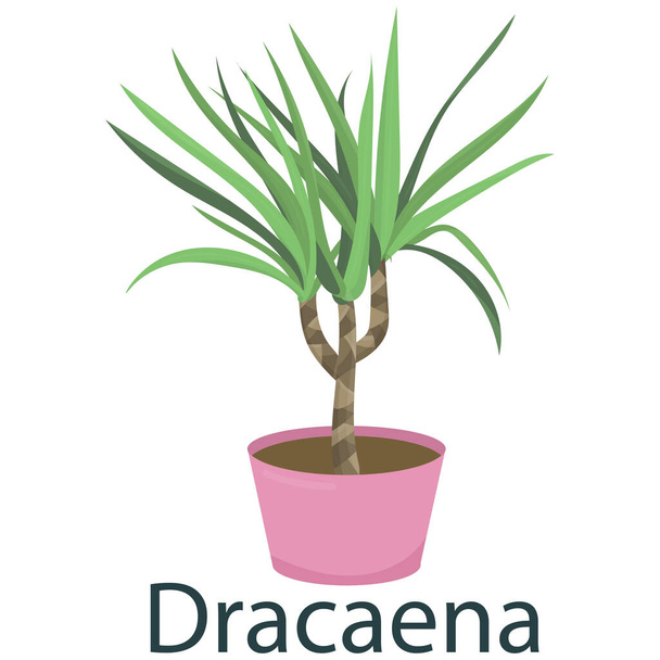 Dracaena, houseplant, flower in a pot - vector illustration, vector element in flat style - Vektor, Bild