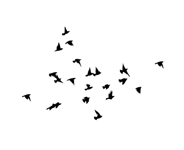 Um bando de pássaros voadores. Pássaros livres. Ilustração vetorial - Vetor, Imagem