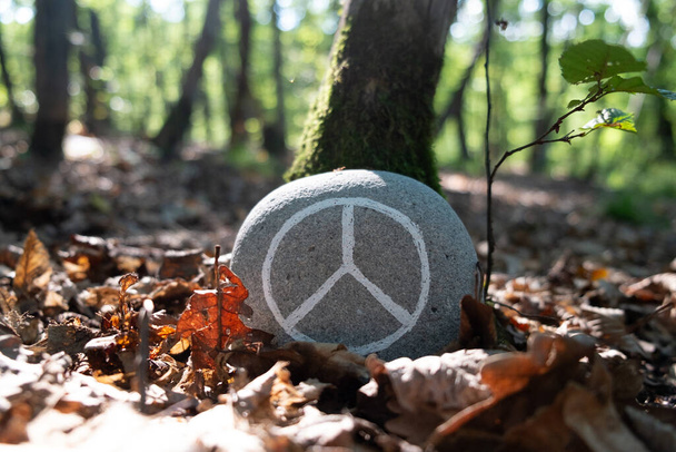 Béke szimbólum egy kövön az erdőben. Tökéletes a béke nemzetközi napjára. Ősz, lombozat, háttér. Alkalmazkodás a társadalmi tartalmakhoz és meditációhoz. - Fotó, kép