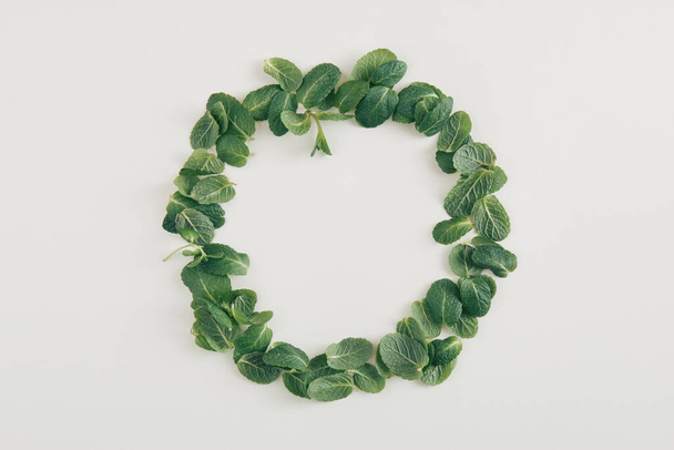 Round wreath made of fresh green leaves on a white background. Flat lay natural concept. Framed copy space. - Фото, изображение