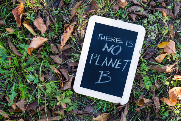 B-planeettaa ei ole. Blackboard nurmikolla viestin kanssa. Kestävämpi ympäristö paremmalle planeetalle. - Valokuva, kuva