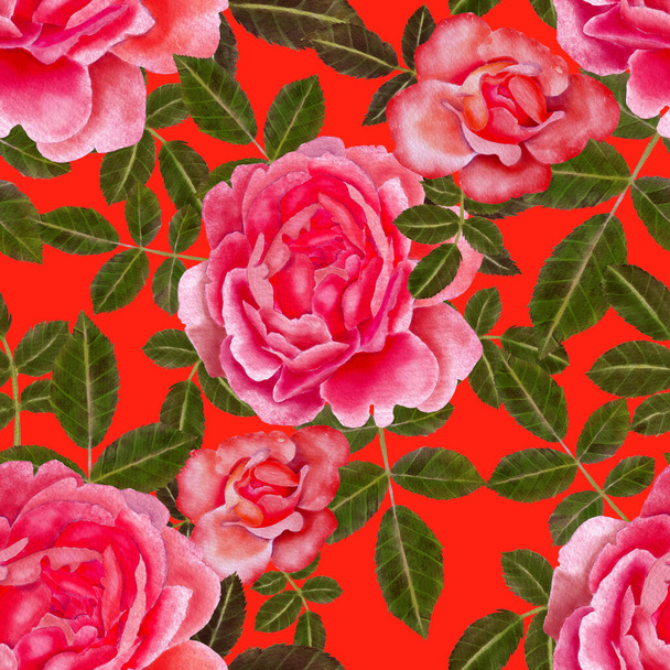 aquarelle motif sans couture avec des roses
 - Photo, image