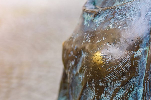 El pecho frotado de una mujer en el monumento de bronce. Superstición para frotar para la buena suerte. Fondo con espacio de copia - Foto, Imagen
