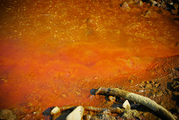 Polluted water - Photo, Image