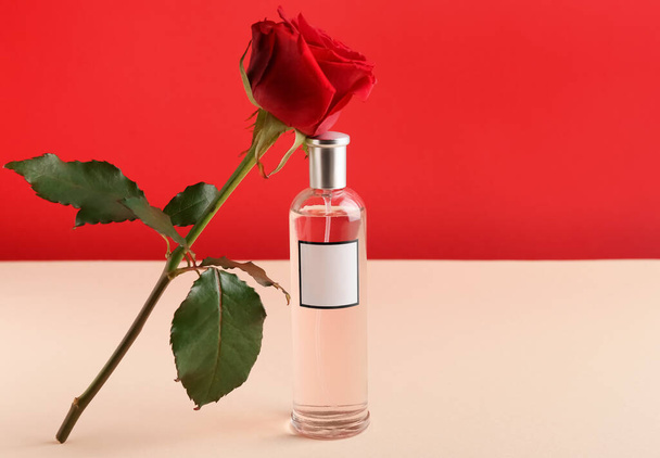 Perfume and rose for Valentine's day on table - Фото, зображення
