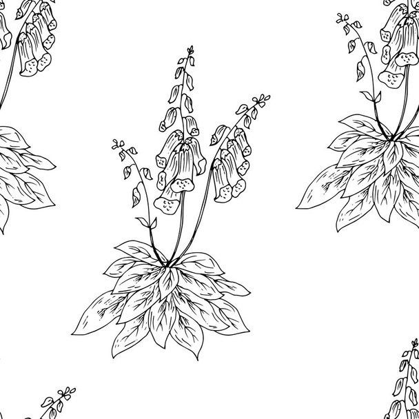vector illustration of a beautiful  flowers - Vektor, obrázek