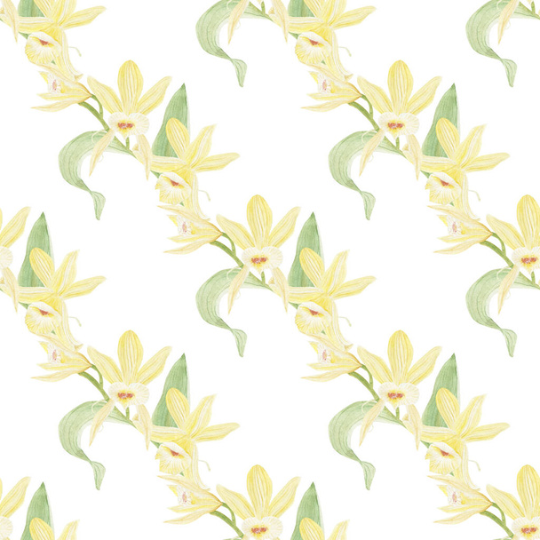 Aquarellzeichnung schöner Vanilleblumen - Foto, Bild