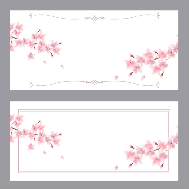Cherry blossoms spring flower background  - Vector, Image