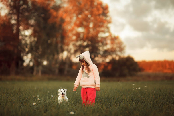 Little girl walking with a Jack Russell Terrier dog in a field at sunset - Valokuva, kuva