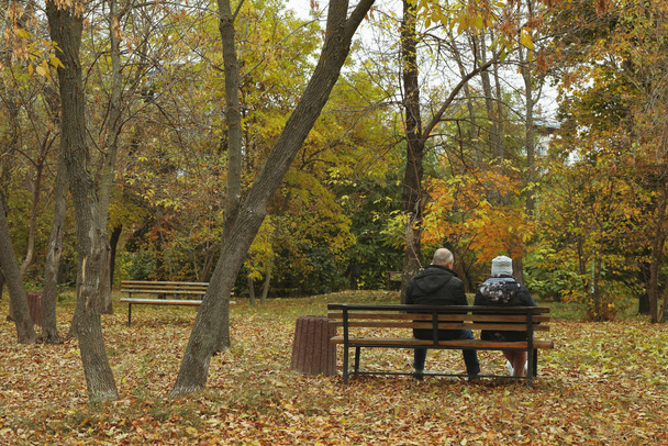 People sitting on bench in autumn park - Zdjęcie, obraz