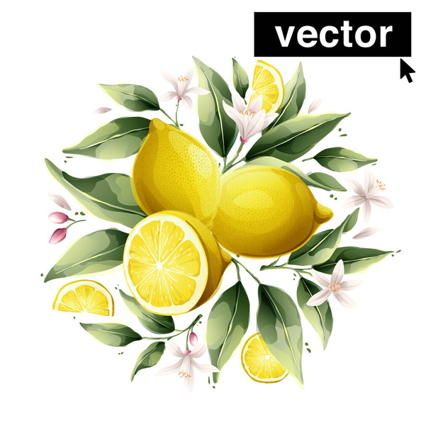 Beautiful vector bouquet with watercolor yellow lemon fruits, leaves and flowers. Perfect for background for greetings, birthdays, mothers day cards. - Vecteur, image