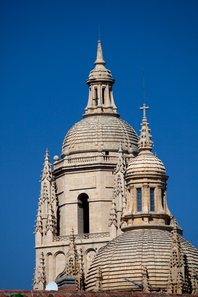 Catedral de Segovia
 - Foto, imagen