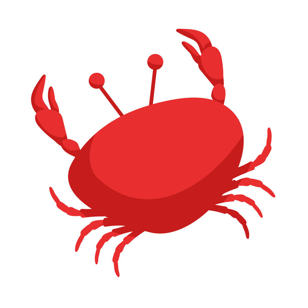 Red crab vector illustration.. Isolated on white background. Sea creature. - Vector, Image