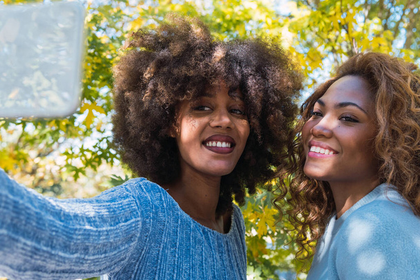 Portrait of two positive female afro american friends smiling while taking selfie. Afro black friends with curly hair and blue jumper smiling while taking selfie in green background - Photo, image