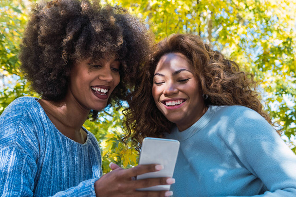 Two female afro american friends checking social media holding smartphone outdoors. Afro black friends with curly hair and blue jumper smiling while using mobile phone in the park - Photo, Image