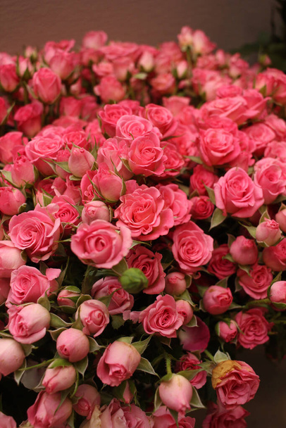 Pink tea rose.  Bouquet of roses. Pink color.  A gift for a girl - Fotó, kép