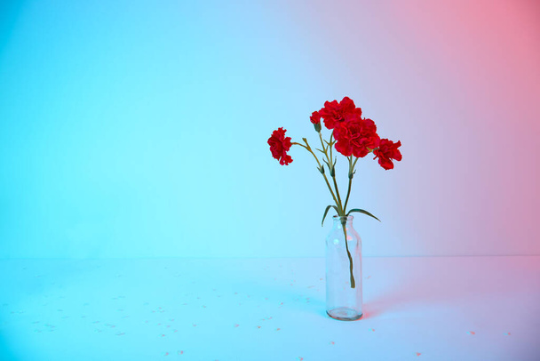 Red carnation bouquet in glass vase on blue and pink color background. Copy space. Flower design. Business card mockup. Memorial day. Elegant style. Happy celebration. Holiday decoration. Text place. - Foto, Imagem