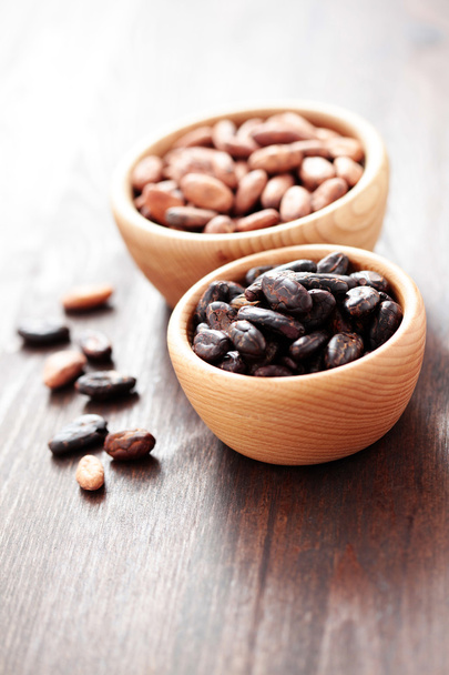 Cocoa beans - Photo, Image