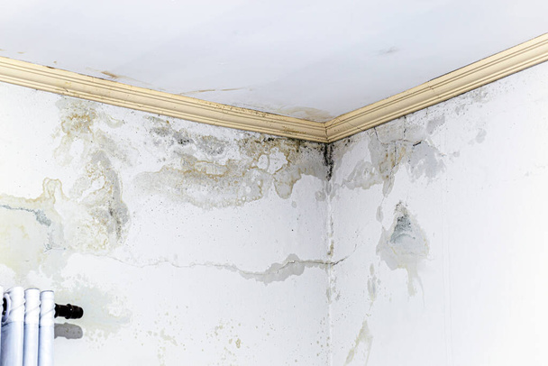τοίχος υγρός από την υπερβολική βροχή, προβλήματα διείσδυσης και μούχλας στον τοίχο του σπιτιού - Φωτογραφία, εικόνα