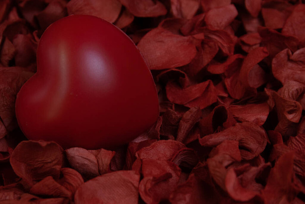 Corazón rojo sobre fondo rojo, adornado con pétalos de rosa rojos - Foto, Imagen