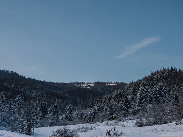 Breathtaking frosty landscape in the Transcarpathian mountains in winter - Valokuva, kuva