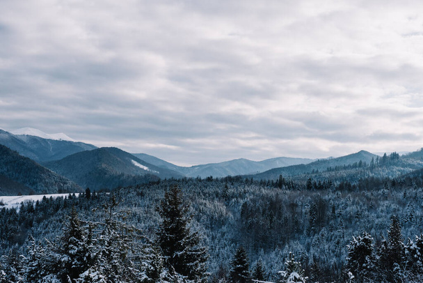 Breathtaking frosty landscape in the Transcarpathian mountains in winter - Фото, зображення