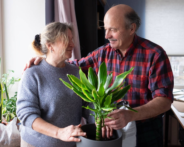 Senior Kaukasier Frau und Mann pflanzen Blumen zu Hause. - Foto, Bild