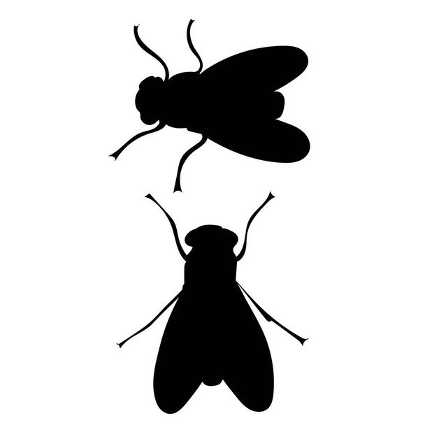 flies silhouette on white background, isolated, vector - Vector, imagen