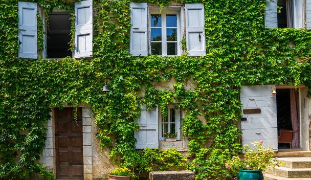 Traditional eco architecture with plants on the facade. Ecology and green environment concept. Stone farmhouse at French Alps. Farmhouse windows with old shabby shutters surrounded by ivy. - Фото, изображение