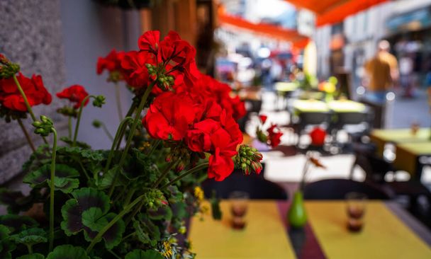 Tipik Alp kasabası manzarası. Arka planda mavi masalarla süslenmiş çiçekler ve kafeterya sandalyeleriyle dolu bir sokak. Mimari ve dönüm noktası. Alp köyündeki eski ve rahat caddenin manzarası. - Fotoğraf, Görsel