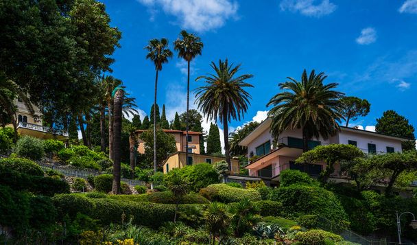 Morning view of Liguria coastline of mediterranean sea. Luxury villa in stunning botanical garden with mediterranean plants. Italy, Europe. Cloudy blue sky sunny day idyllic scenery. - Fotó, kép