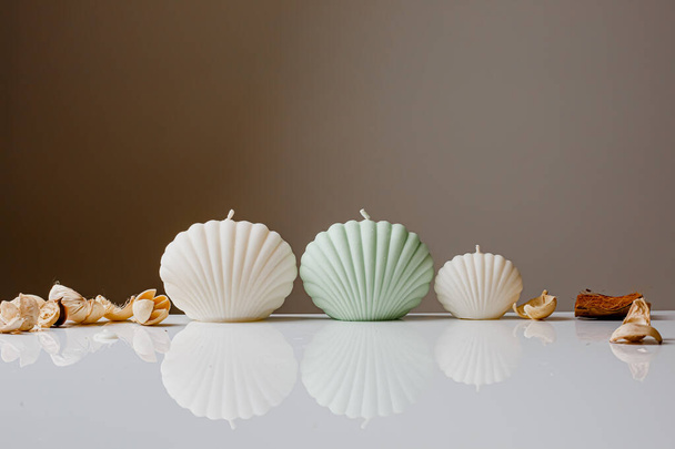 Ceramic pastel design round hole vases with seashell candles and soft aroma grass. Cozy home. Christmas decoration. - Foto, immagini