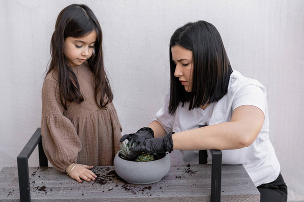 Mother and daughter gardening. - Photo, Image