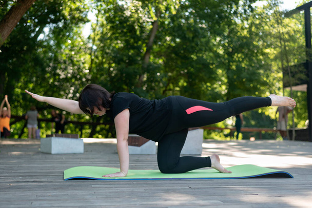 Belle jeune femme pratique le yoga dans le parc sur le tapis. Chubby girl mène une vie saine. Vue latérale - Photo, image