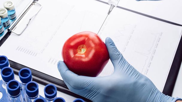 Genetikai módosítás GMO. A tudósok fecskendőből fecskendeznek folyadékot a vörös paradicsomba. Genetikailag módosított élelmiszerek - Fotó, kép