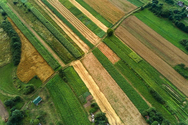 Légi táj kilátás zöld művelt mezőgazdasági területek növekvő növények fényes nyári napon - Fotó, kép