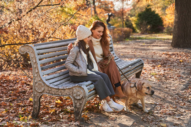 Mother and daughter holding leash of their dog and sitting at the bench - Foto, Imagem