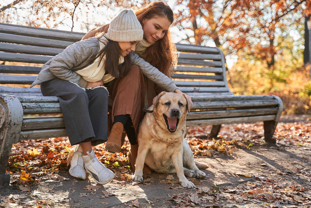 Teen girl stroking her happy dog while sitting at the bench with her mother - Zdjęcie, obraz