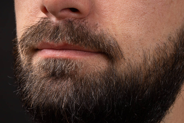 Barba limpia. Primer plano del joven barbudo. Muy cerca de la barba masculina hipster guapo. Elegante barba bien arreglada. Primer plano hombres barbudos - Foto, imagen
