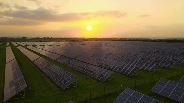 Luchtfoto van een grote duurzame elektriciteitscentrale met rijen fotovoltaïsche zonnepanelen voor het produceren van schone elektrische energie in de avond. Concept van hernieuwbare elektriciteit zonder uitstoot - Video