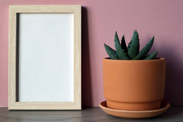 Mock up white frame with clay flower pot with succulent on pink background. Space for text. - Photo, Image