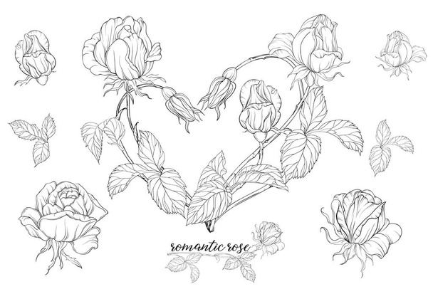 Conjunto vectorial de composiciones florales con flores de rosa.Corazón de flores. - Vector, Imagen