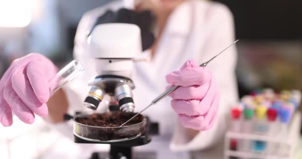 Soil samples chemical samples in laboratory closeup - Materiał filmowy, wideo