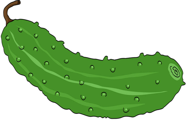 Zielony ogórek warzywny izolowany na białym - Wektor, obraz